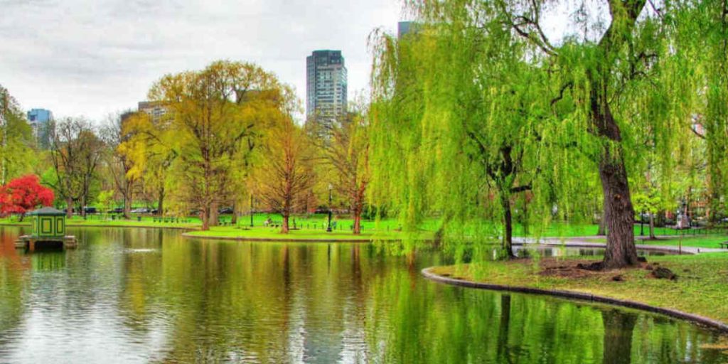 Park in Beantown