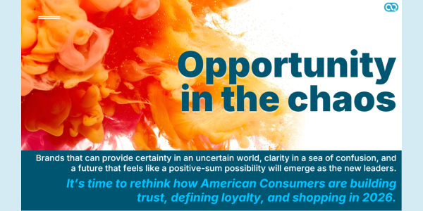 Section title slide reading "Opportunity in the chaos" over a colorful ink-in-water background, with the message that brands offering certainty and clarity will emerge as new leaders in 2026.